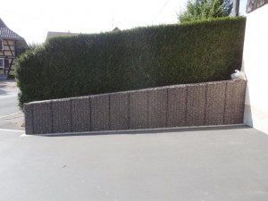 Parement mur exterieur long
